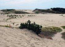 Что такое дюны и барханы?