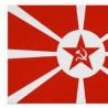 Flamuri i Marinës së BRSS dhe historia e tij Një fragment që karakterizon flamurin detar të BRSS