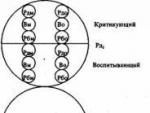 Психотерапия нового решения М